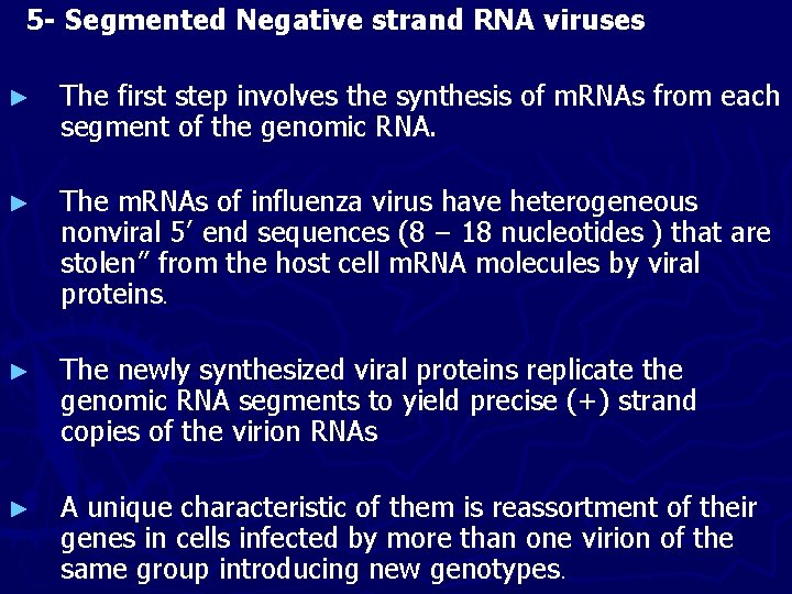 5 - Segmented Negative strand RNA viruses ► The first step involves the synthesis