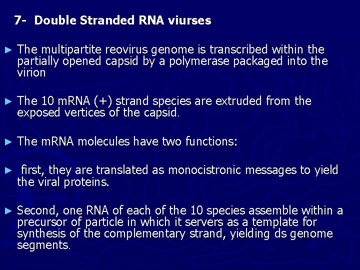 7 - Double Stranded RNA viurses ► The multipartite reovirus genome is transcribed within