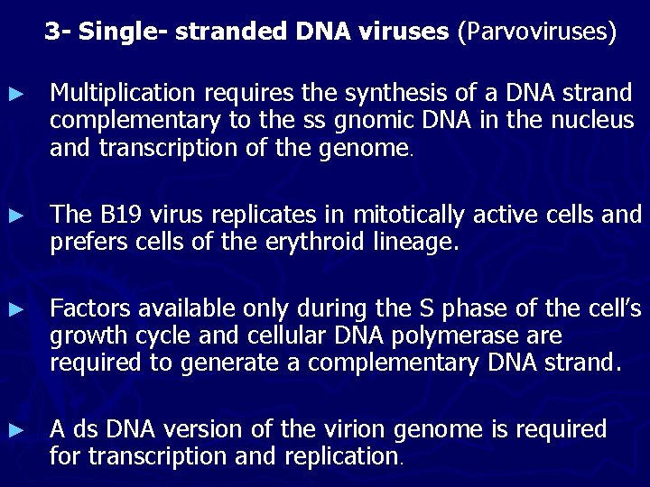 3 - Single- stranded DNA viruses (Parvoviruses) ► Multiplication requires the synthesis of a