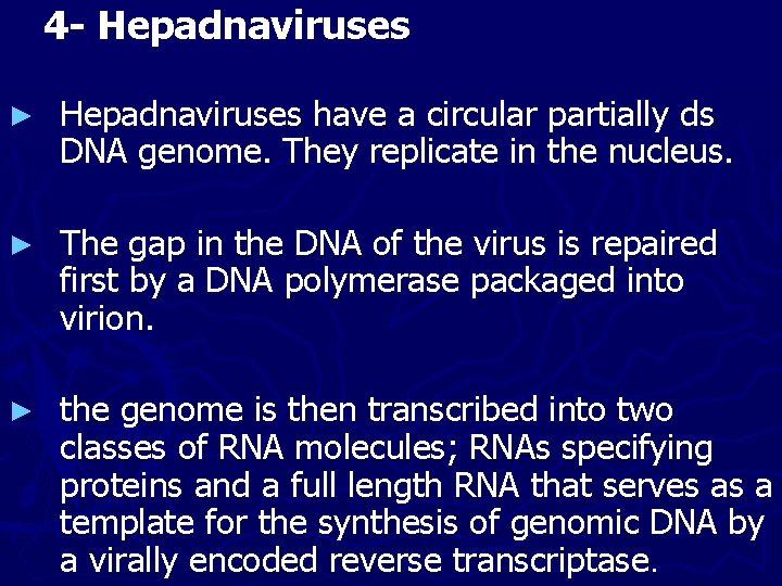 4 - Hepadnaviruses ► Hepadnaviruses have a circular partially ds DNA genome. They replicate