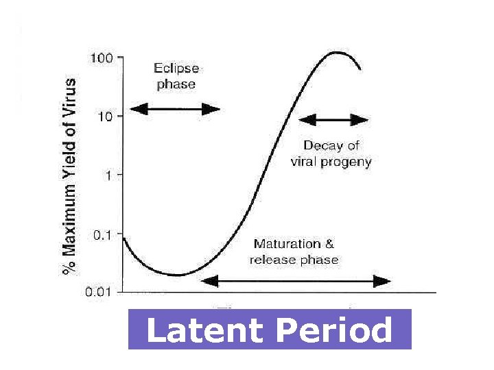 Latent Period 