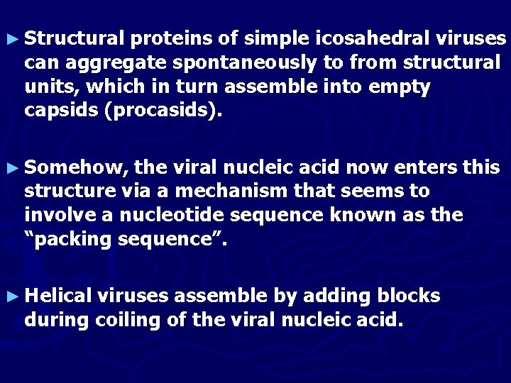 ► Structural proteins of simple icosahedral viruses can aggregate spontaneously to from structural units,