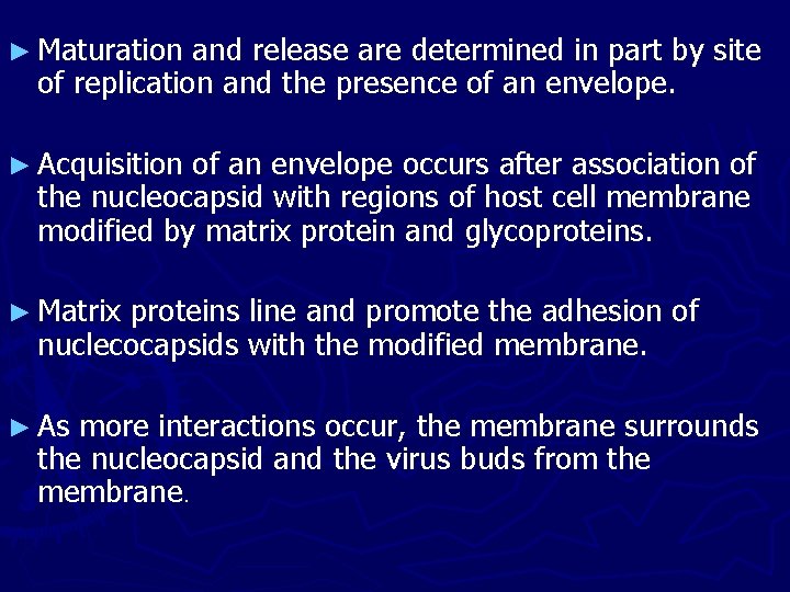 ► Maturation and release are determined in part by site of replication and the