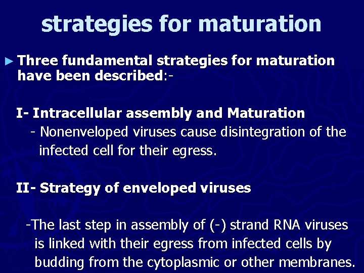 strategies for maturation ► Three fundamental strategies for maturation have been described: - I-