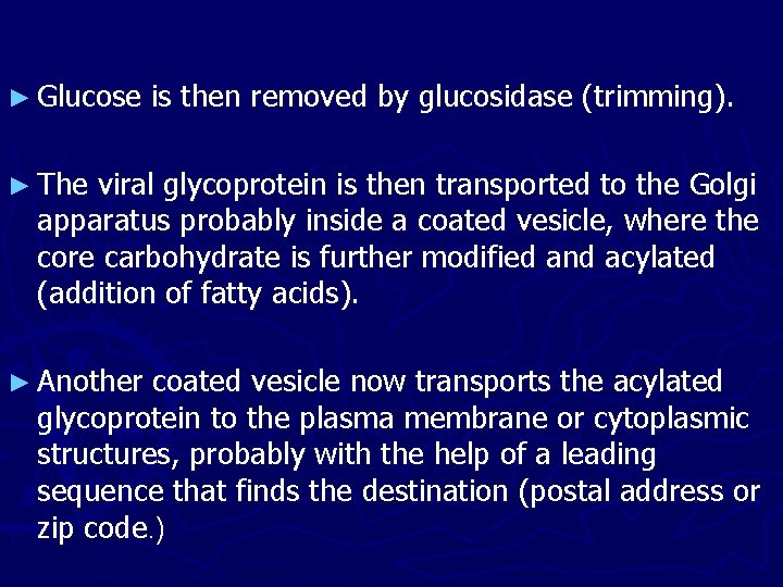 ► Glucose is then removed by glucosidase (trimming). ► The viral glycoprotein is then