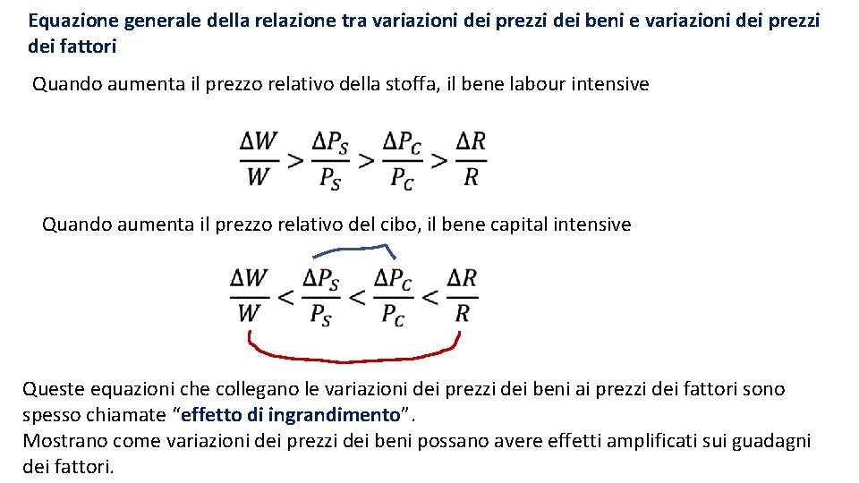 Equazione generale della relazione tra variazioni dei prezzi dei beni e variazioni dei prezzi