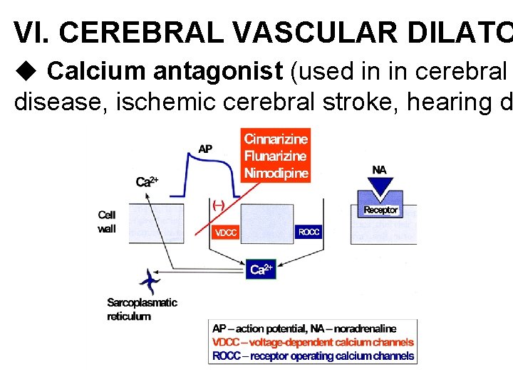 VI. CEREBRAL VASCULAR DILATO u Calcium antagonist (used in in cerebral disease, ischemic cerebral