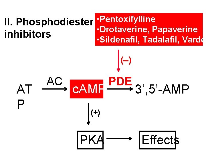  • Pentoxifylline II. Phosphodiesterase • Drotaverine, Papaverine inhibitors • Sildenafil, Tadalafil, Varden (-)