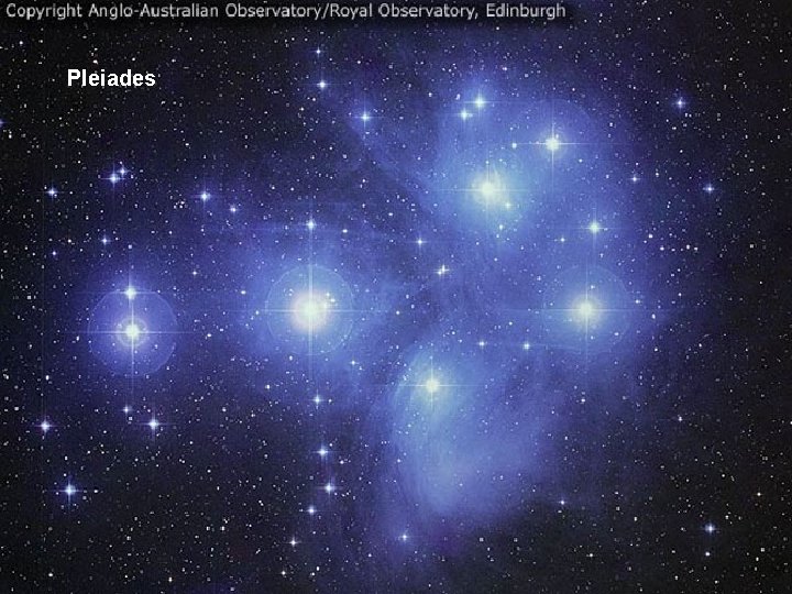 Pleiades 