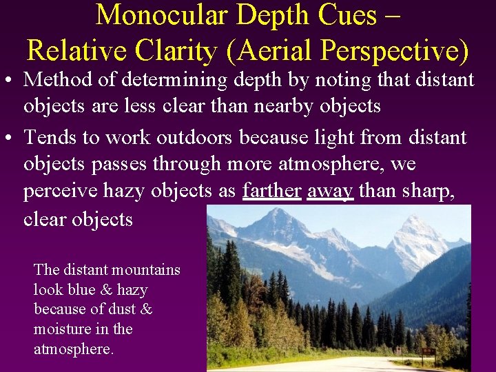 Monocular Depth Cues – Relative Clarity (Aerial Perspective) • Method of determining depth by