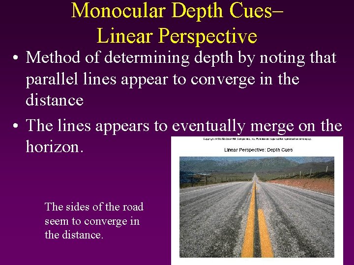 Monocular Depth Cues– Linear Perspective • Method of determining depth by noting that parallel