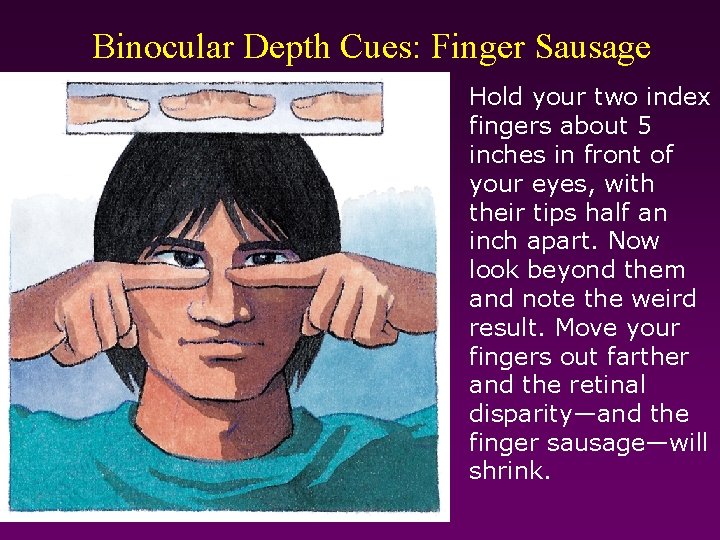 Binocular Depth Cues: Finger Sausage Hold your two index fingers about 5 inches in