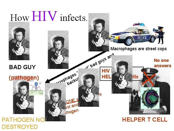 How HIV infects. Macrophages are street cops nd a s y BAD GUY (pathogen)