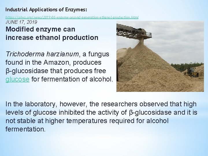 Industrial Applications of Enzymes: https: //phys. org/news/2019 -06 -enzyme-second-generation-ethanol-production. html JUNE 17, 2019 Modified