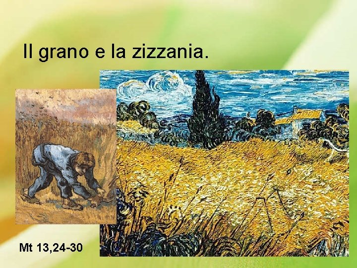 Il grano e la zizzania. Mt 13, 24 -30 