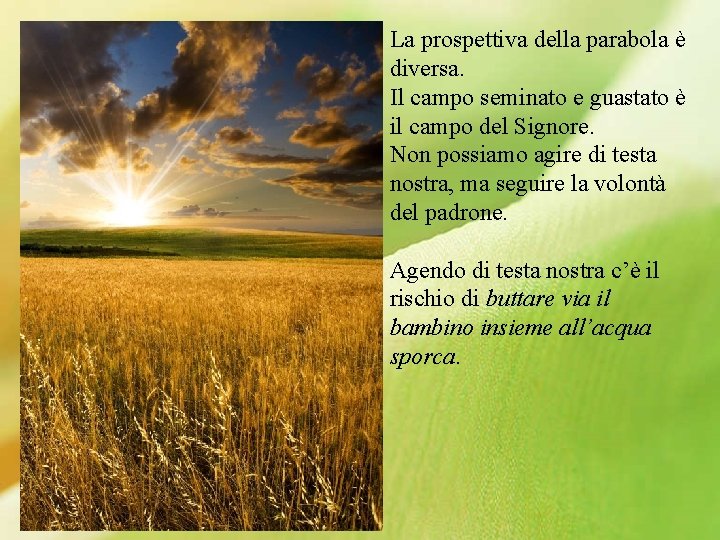 La prospettiva della parabola è diversa. Il campo seminato e guastato è il campo