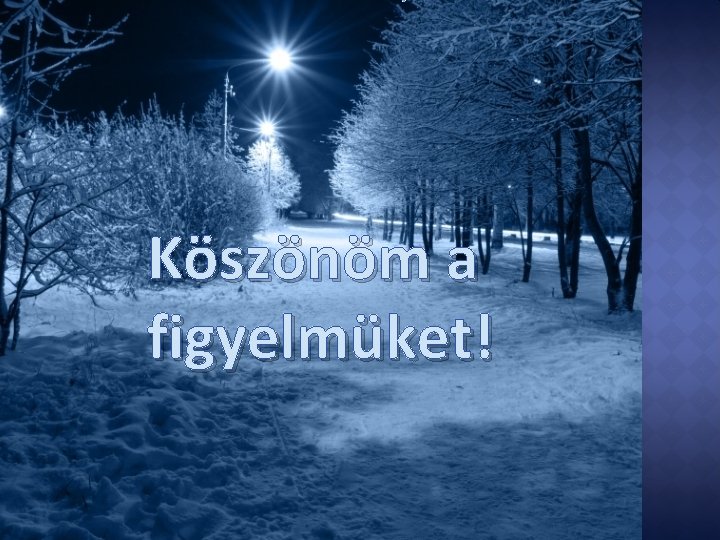 Köszönöm a figyelmüket! 