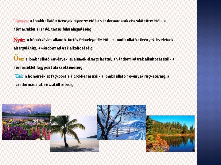Tavasz: a lombhullató növények rügyezésétől, a vándormadarak visszaköltözésétől - a hőmérséklet állandó, tartós felmelegedéséig