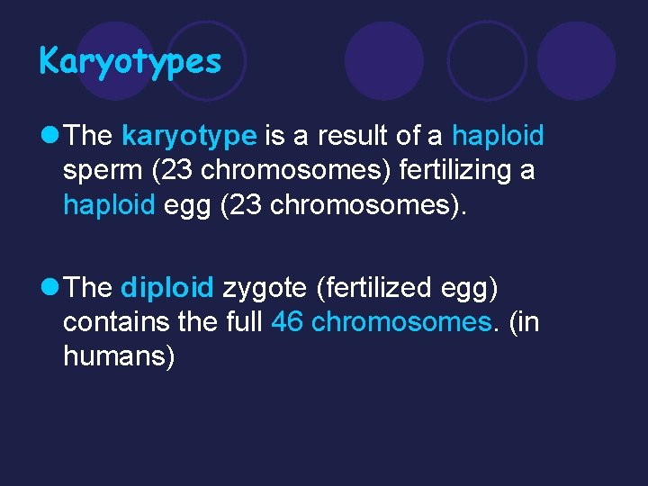 Karyotypes l The karyotype is a result of a haploid sperm (23 chromosomes) fertilizing