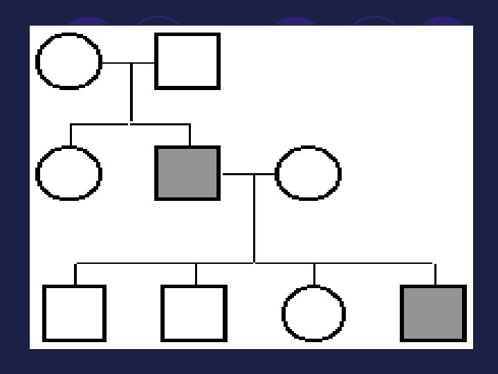 Pedigree l A pedigree shows the relationships within a family and it helps to