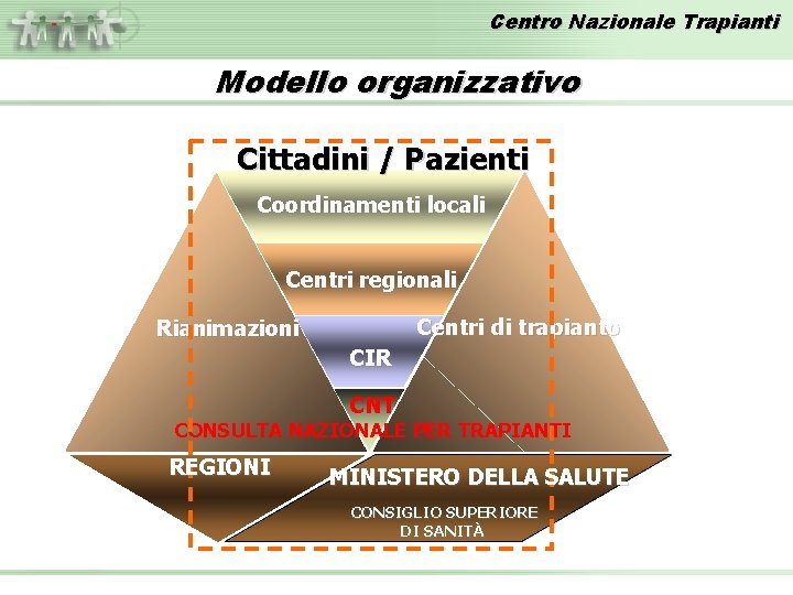 Centro Nazionale Trapianti Modello organizzativo Cittadini / Pazienti Coordinamenti locali Centri regionali Centri di