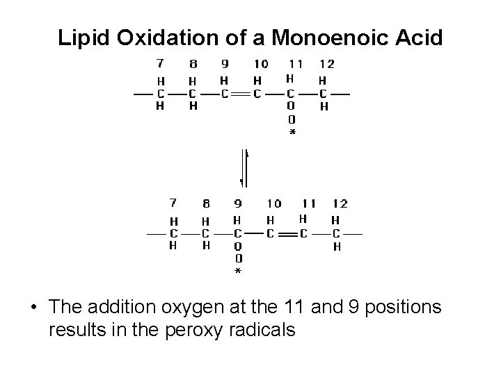 Lipid Oxidation of a Monoenoic Acid • The addition oxygen at the 11 and