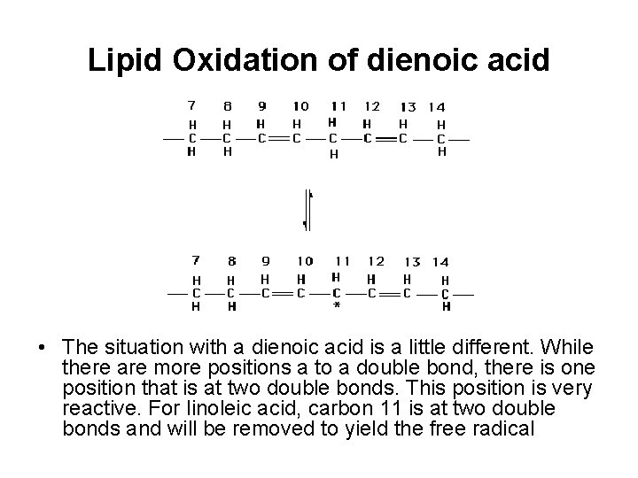 Lipid Oxidation of dienoic acid • The situation with a dienoic acid is a