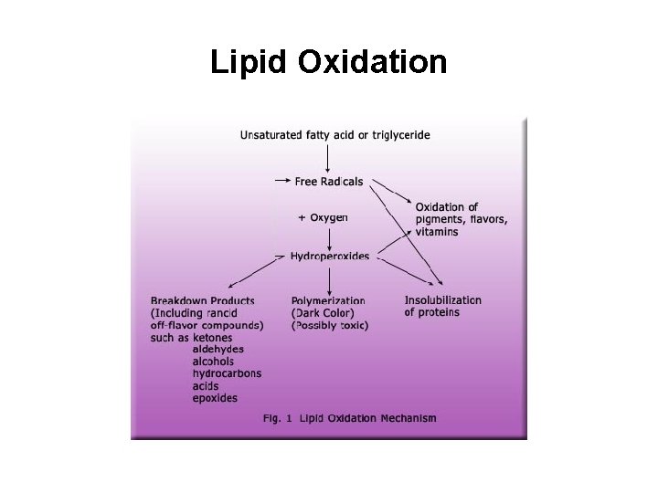 Lipid Oxidation 