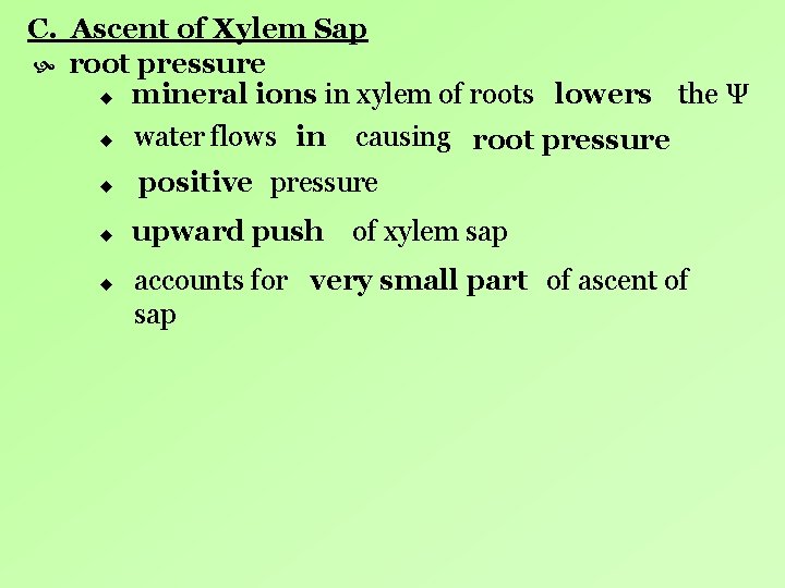 C. Ascent of Xylem Sap root pressure u mineral ions in xylem of roots C. Ascent of Xylem Sap root pressure u mineral ions in xylem of roots