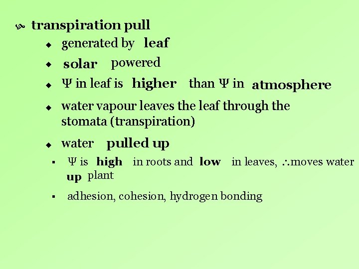 transpiration pull u generated by leaf u u solar powered Ψ in leaf transpiration pull u generated by leaf u u solar powered Ψ in leaf