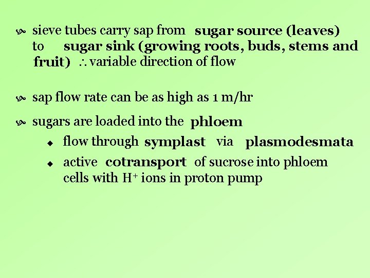sieve tubes carry sap from sugar source (leaves) to sugar sink (growing roots, sieve tubes carry sap from sugar source (leaves) to sugar sink (growing roots,
