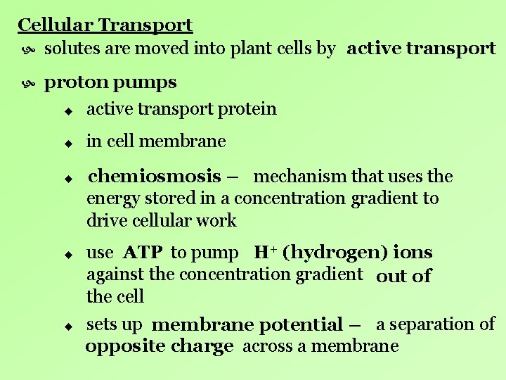Cellular Transport solutes are moved into plant cells by active transport proton pumps u Cellular Transport solutes are moved into plant cells by active transport proton pumps u
