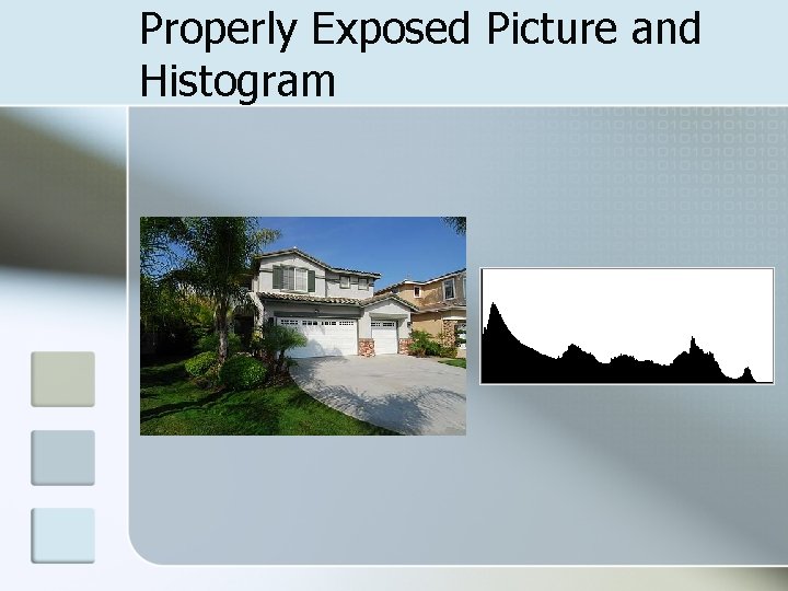Properly Exposed Picture and Histogram 