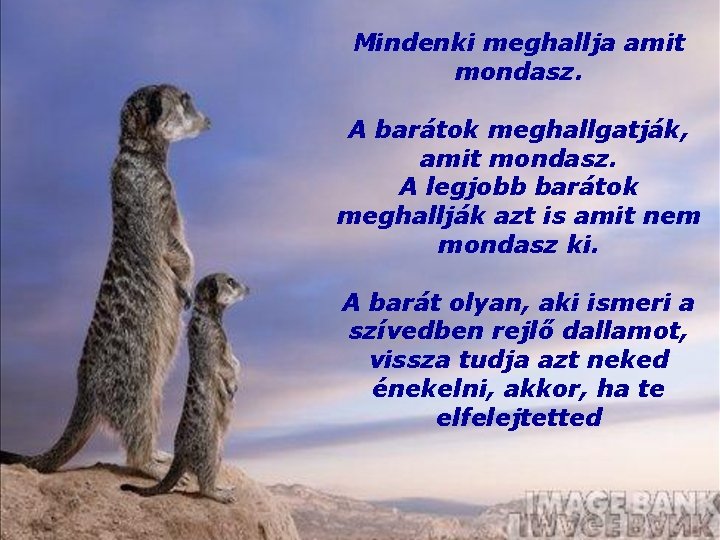 Mindenki meghallja amit mondasz. A barátok meghallgatják, amit mondasz. A legjobb barátok meghallják azt