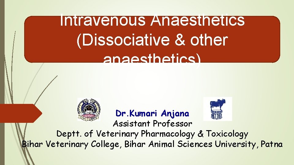 Intravenous Anaesthetics (Dissociative & other anaesthetics) Dr. Kumari Anjana Assistant Professor Deptt. of Veterinary Intravenous Anaesthetics (Dissociative & other anaesthetics) Dr. Kumari Anjana Assistant Professor Deptt. of Veterinary