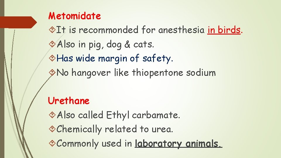 Metomidate It is recommonded for anesthesia in birds. Also in pig, dog & cats. Metomidate It is recommonded for anesthesia in birds. Also in pig, dog & cats.