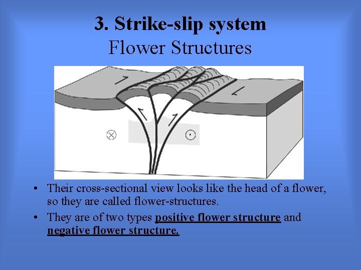 3. Strike-slip system Flower Structures • Their cross-sectional view looks like the head of