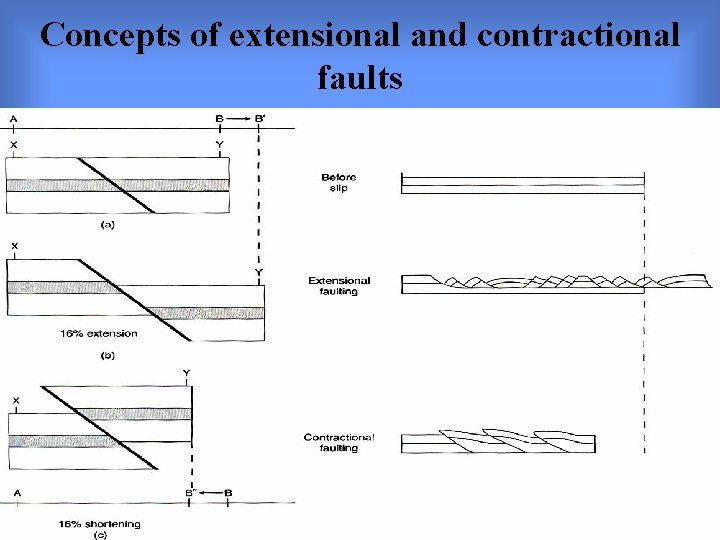 Concepts of extensional and contractional faults 