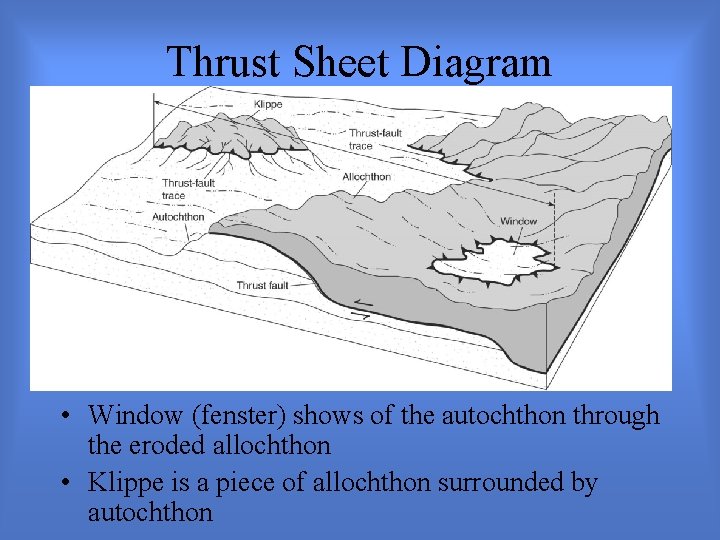 Thrust Sheet Diagram • Window (fenster) shows of the autochthon through the eroded allochthon
