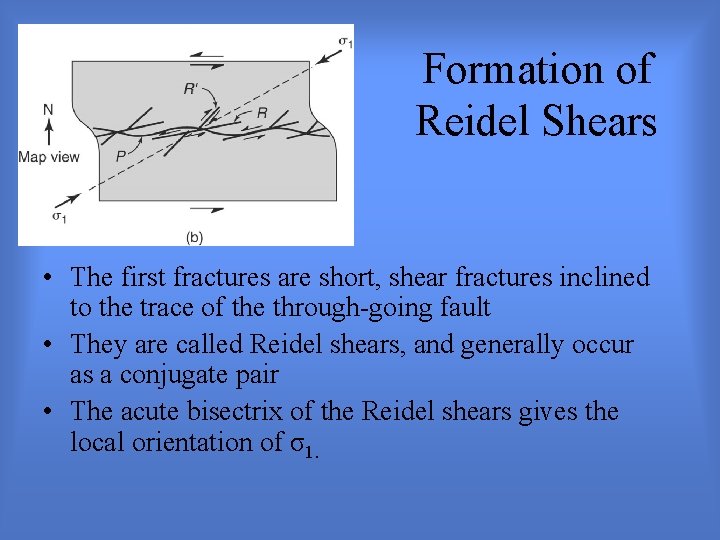Formation of Reidel Shears • The first fractures are short, shear fractures inclined to