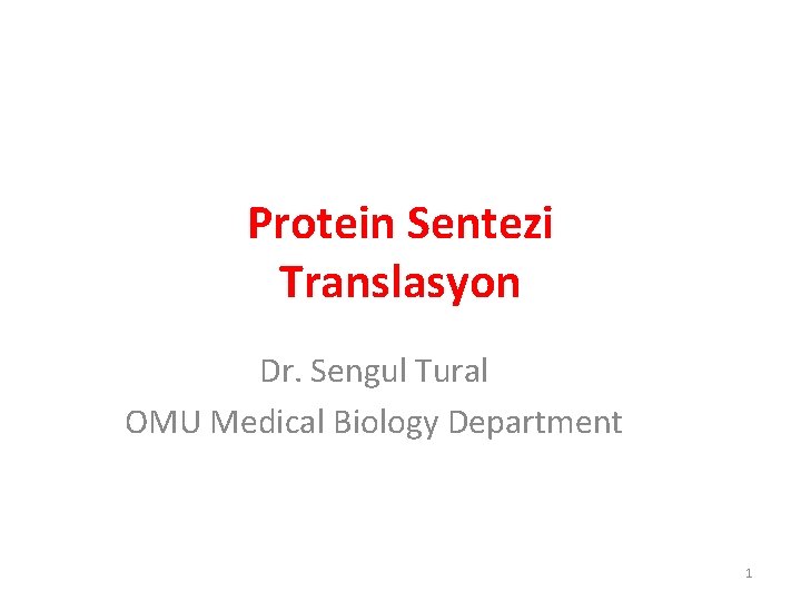 Protein Sentezi Translasyon Dr. Sengul Tural OMU Medical Biology Department 1 Protein Sentezi Translasyon Dr. Sengul Tural OMU Medical Biology Department 1