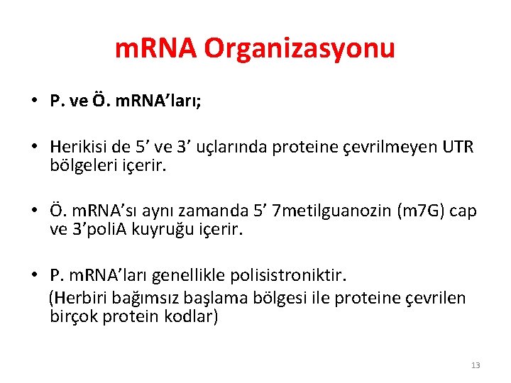 m. RNA Organizasyonu • P. ve Ö. m. RNA’ları; • Herikisi de 5’ ve m. RNA Organizasyonu • P. ve Ö. m. RNA’ları; • Herikisi de 5’ ve