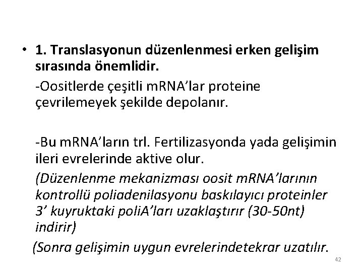 • 1. Translasyonun düzenlenmesi erken gelişim sırasında önemlidir. -Oositlerde çeşitli m. RNA’lar proteine • 1. Translasyonun düzenlenmesi erken gelişim sırasında önemlidir. -Oositlerde çeşitli m. RNA’lar proteine