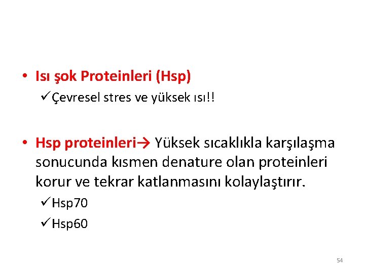 • Isı şok Proteinleri (Hsp) üÇevresel stres ve yüksek ısı!! • Hsp proteinleri→ • Isı şok Proteinleri (Hsp) üÇevresel stres ve yüksek ısı!! • Hsp proteinleri→