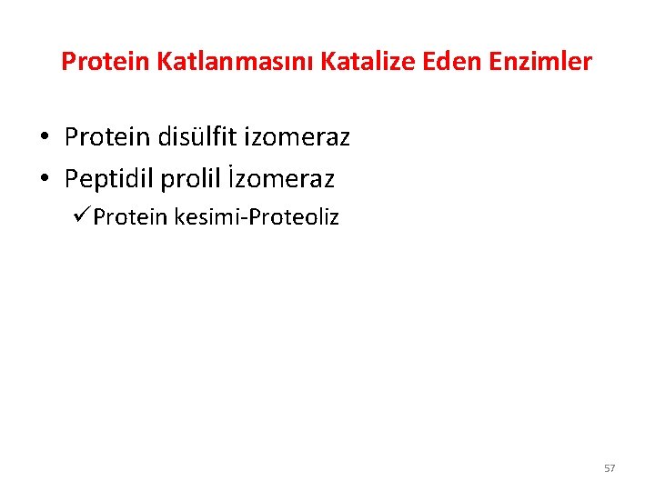 Protein Katlanmasını Katalize Eden Enzimler • Protein disülfit izomeraz • Peptidil prolil İzomeraz üProtein Protein Katlanmasını Katalize Eden Enzimler • Protein disülfit izomeraz • Peptidil prolil İzomeraz üProtein