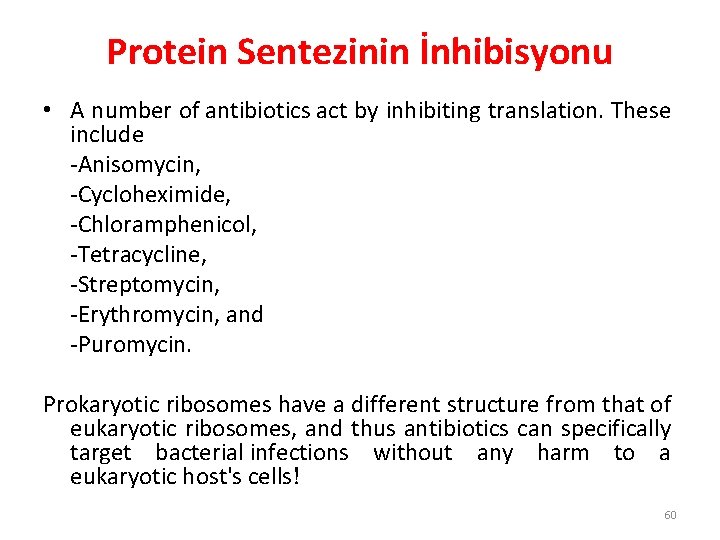 Protein Sentezinin İnhibisyonu • A number of antibiotics act by inhibiting translation. These include Protein Sentezinin İnhibisyonu • A number of antibiotics act by inhibiting translation. These include