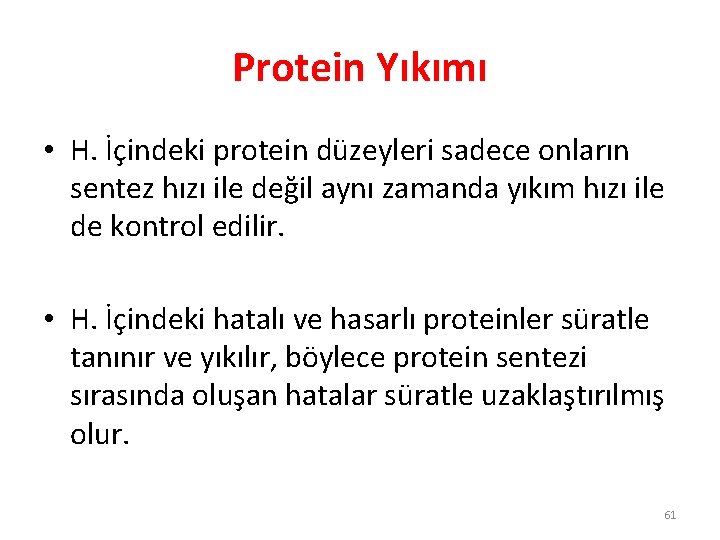 Protein Yıkımı • H. İçindeki protein düzeyleri sadece onların sentez hızı ile değil aynı Protein Yıkımı • H. İçindeki protein düzeyleri sadece onların sentez hızı ile değil aynı