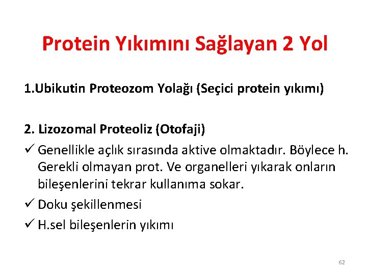 Protein Yıkımını Sağlayan 2 Yol 1. Ubikutin Proteozom Yolağı (Seçici protein yıkımı) 2. Lizozomal Protein Yıkımını Sağlayan 2 Yol 1. Ubikutin Proteozom Yolağı (Seçici protein yıkımı) 2. Lizozomal