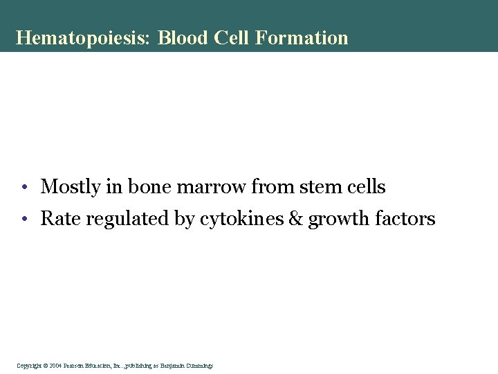 Hematopoiesis: Blood Cell Formation • Mostly in bone marrow from stem cells • Rate