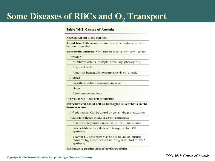Some Diseases of RBCs and O 2 Transport Copyright © 2004 Pearson Education, Inc.